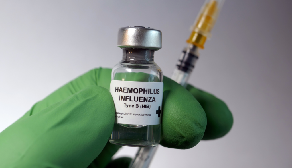 HIB, CZYLI HAEMOPHILUS INFLUENZAE TYPU B
